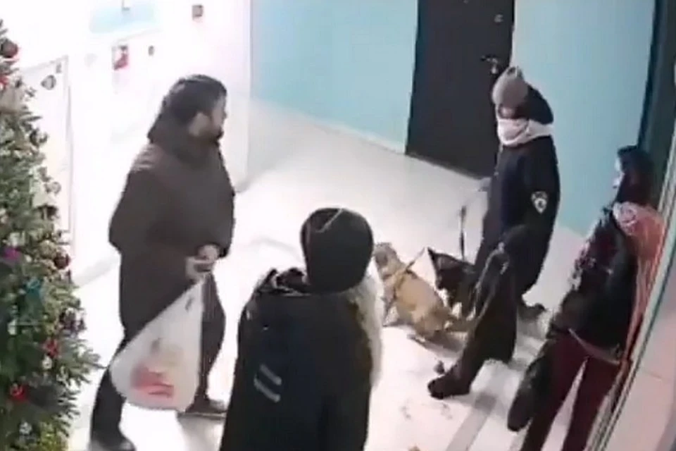 Потасовка в подъезде попала в прицел видеокамеры. Фото: print screen видео