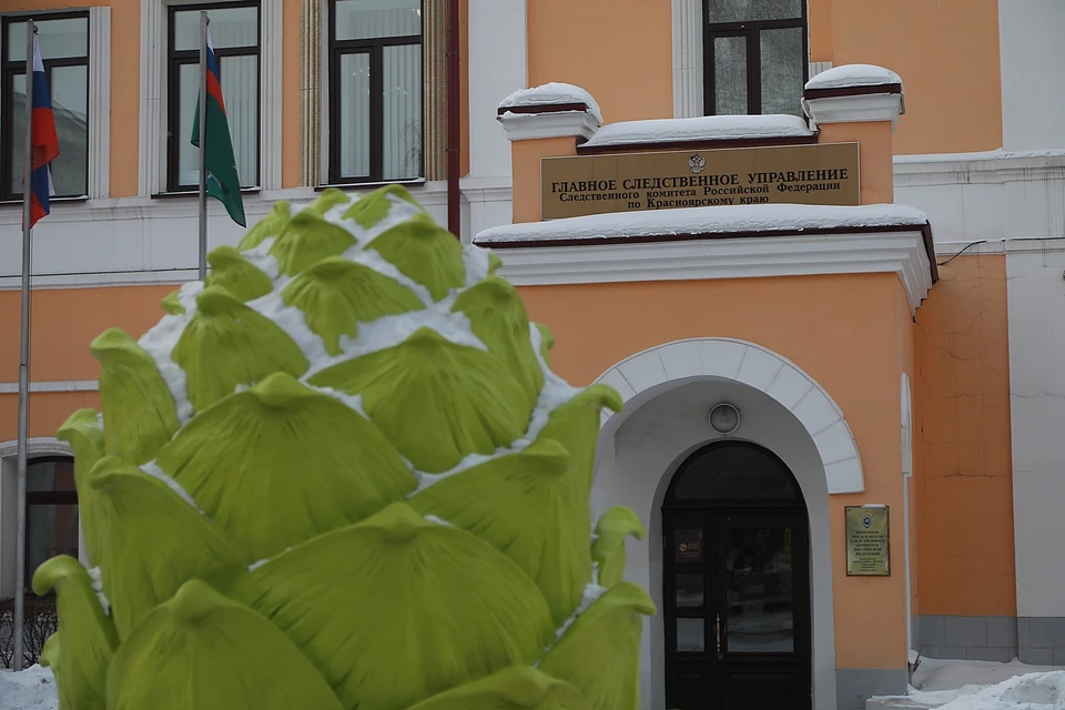 Возбуждено уголовное дело
