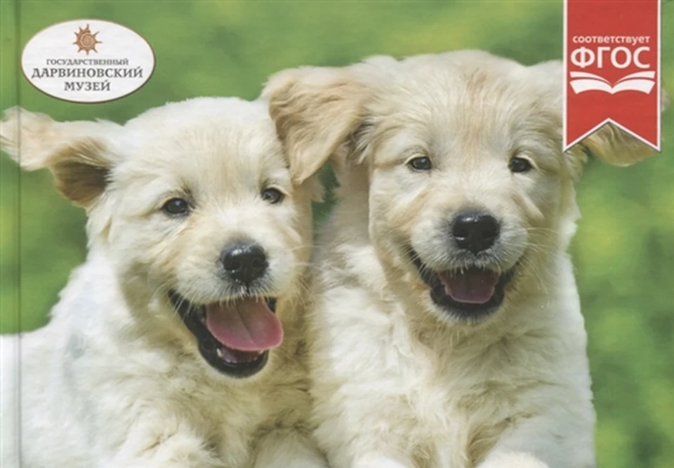 22 том «Детской энциклопедии» – «Собаки и щенки» уже в продаже!