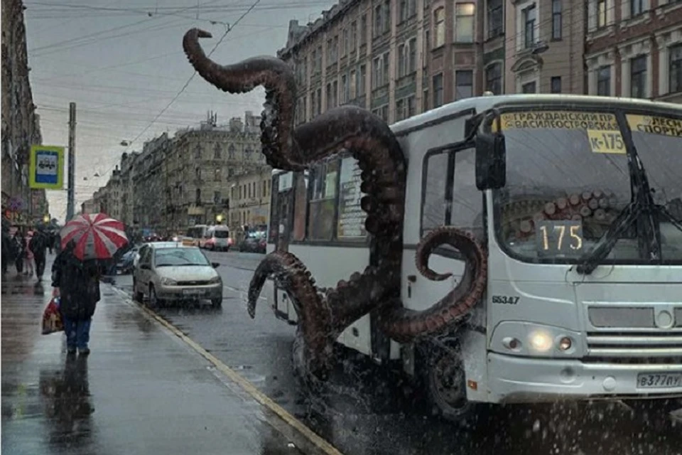 В петербургском автобусе поселился гигантский осьминог / Фото: Instargam solovyewadim