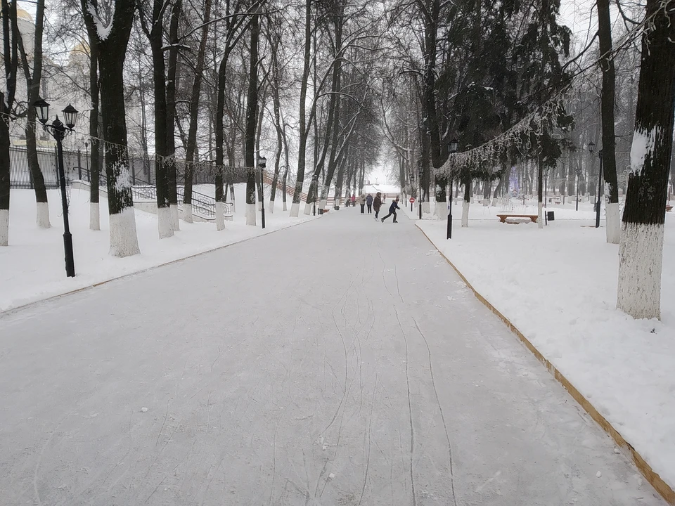 Каток в парке пушкина