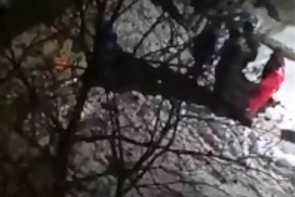 На запись очевидцев попали несколько людей, которые несли к "скорой" женщину. Фото: кадр с видеозаписи сообщества "Инцидент.Екатеринбург", vk.com