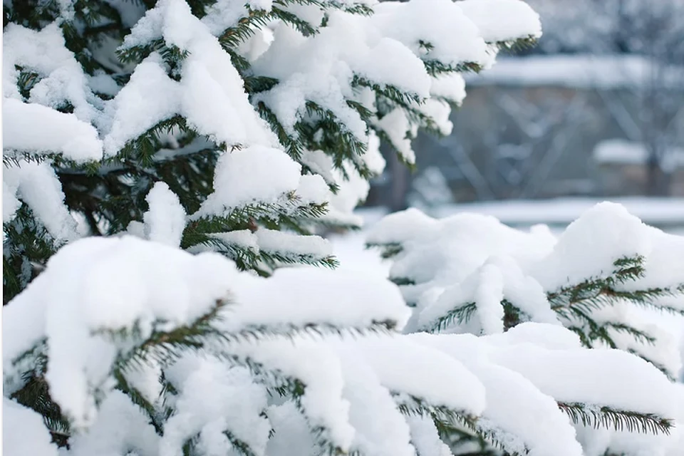 Погода на Ямале 6 февраля: снегопады не отступают Фото: pixabay.com