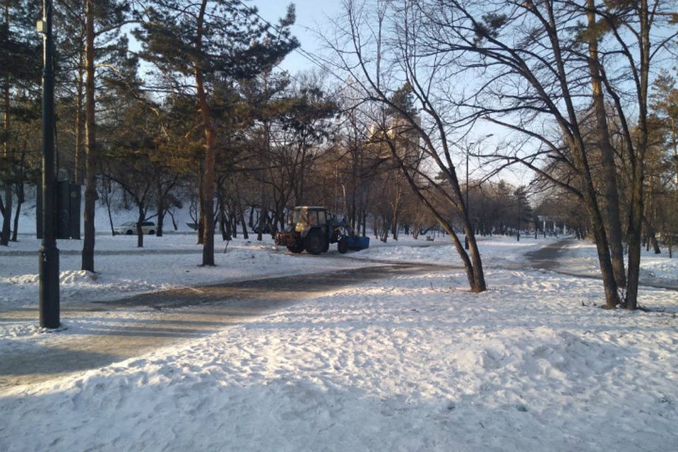 Погода в Хабаровске на 11 февраля 2020 года: днем до -12, без осадков