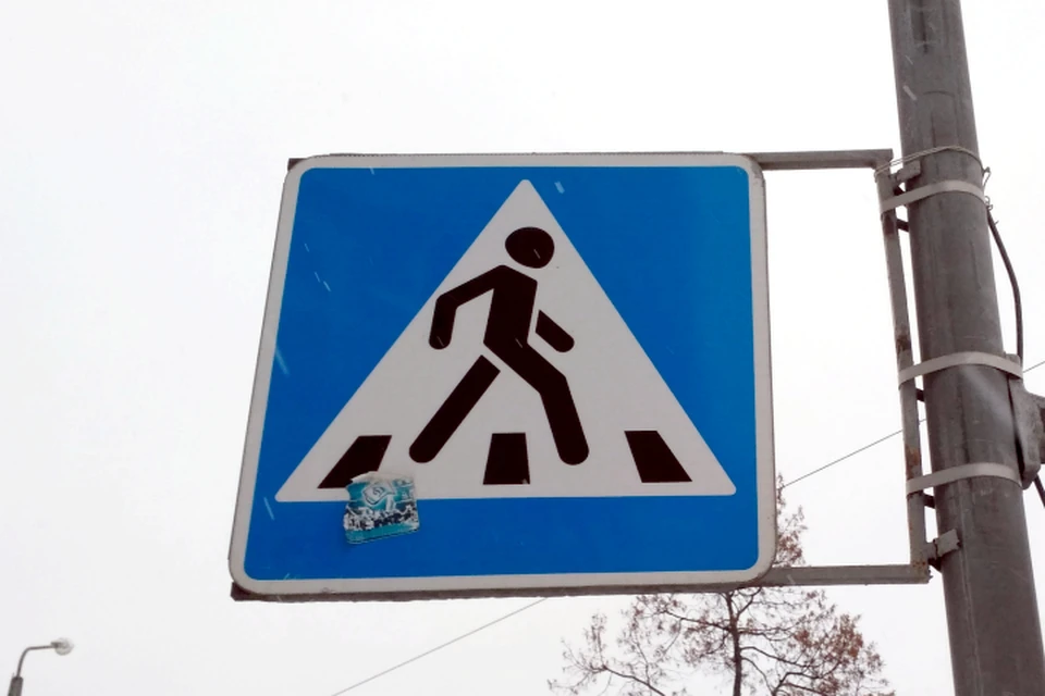 В Брянске пешеходы нарушили ПДД сотню раз за три дня.