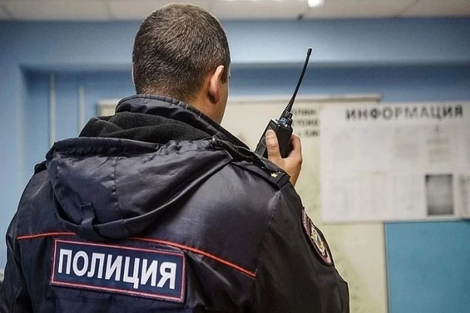 Сотрудники правоохранительных органов проводят проверку