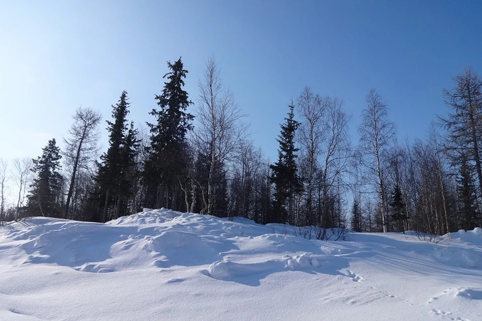 Погода на Ямале 27 февраля: ветер южный, местами пройдет снег