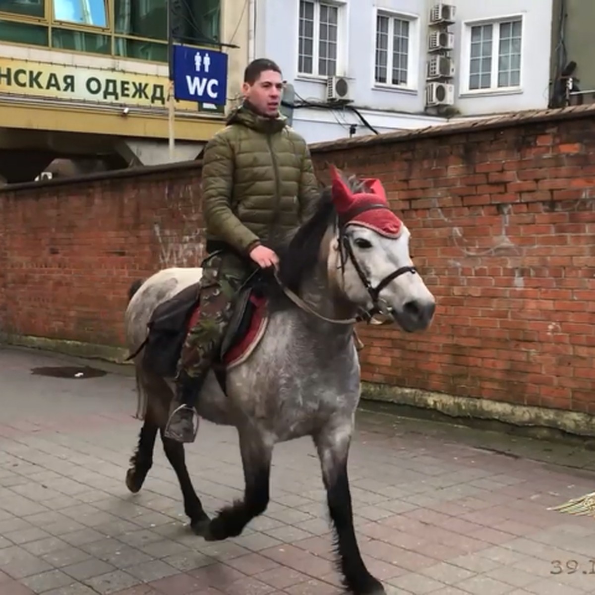 Калининградец верхом на полупони бросился за грабителем. И задержал его! -  KP.RU