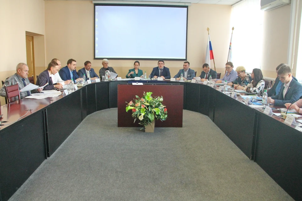 Биробиджанской городской думе грозит ликвидация