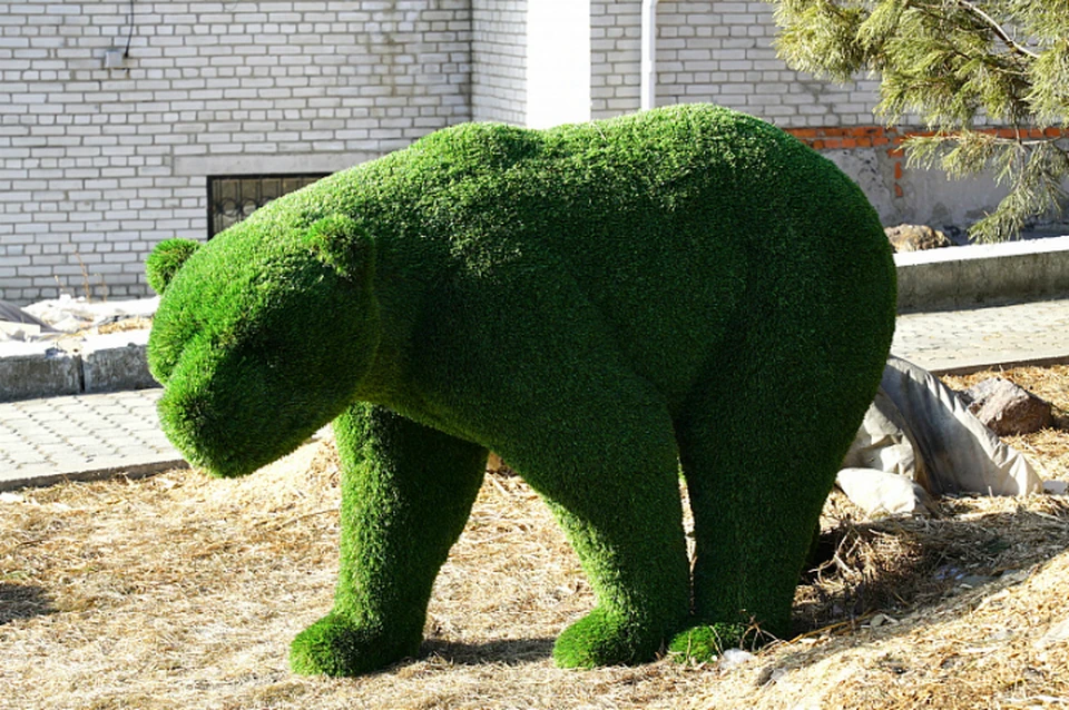 Озеленители в Хабаровске доэкспериментировались до зеленых медведей