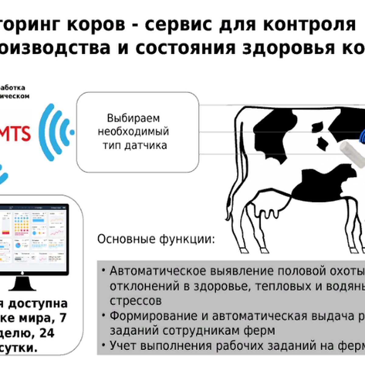 В развитие цифровой инфраструктуры Ярославской области МТС вложит 600 млн  рублей - KP.RU