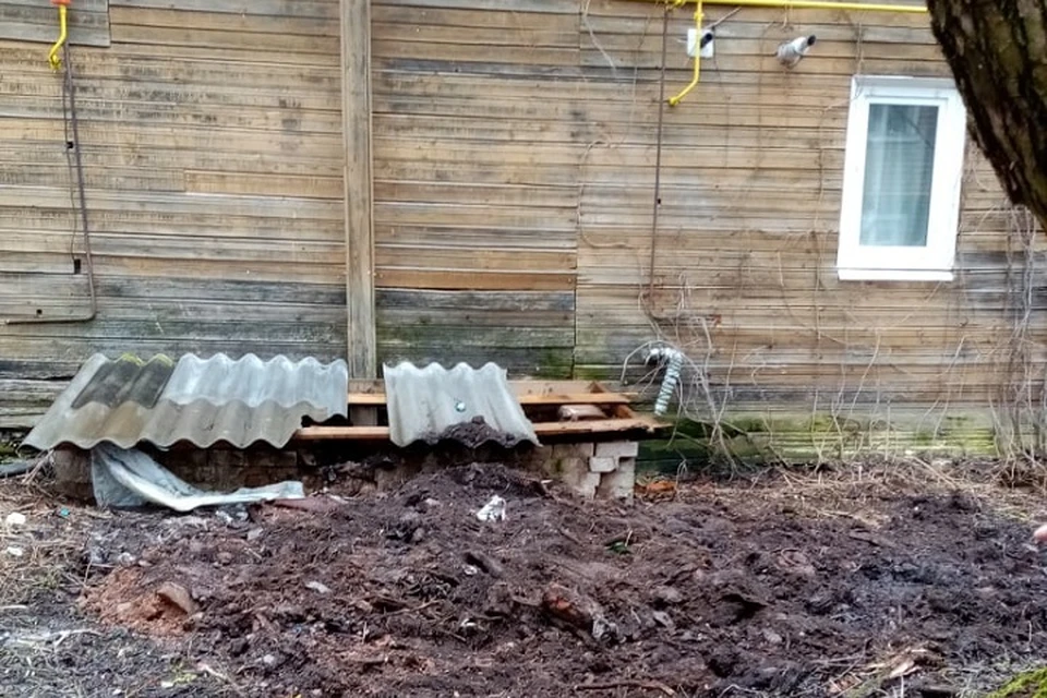 Девочка провалилась в выгребную яму в Новгородской области