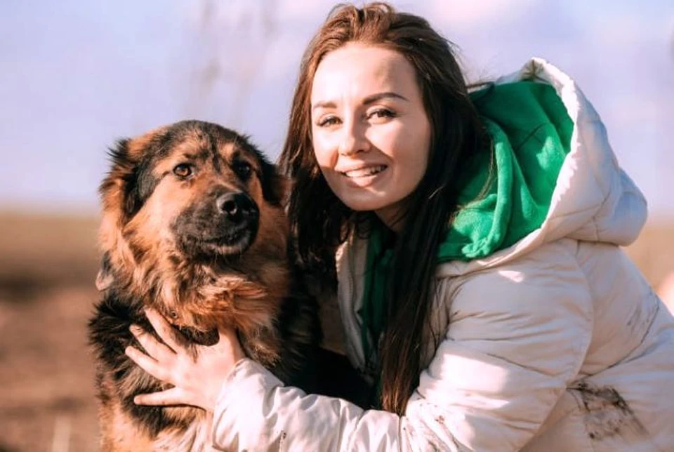 Всех, кто видел собаку, просят связаться с волонтерами