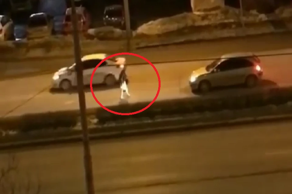 Добравшись до другой стороны дороги, женщина пошла по обочине. Фото: скриншот с видео в chp_59