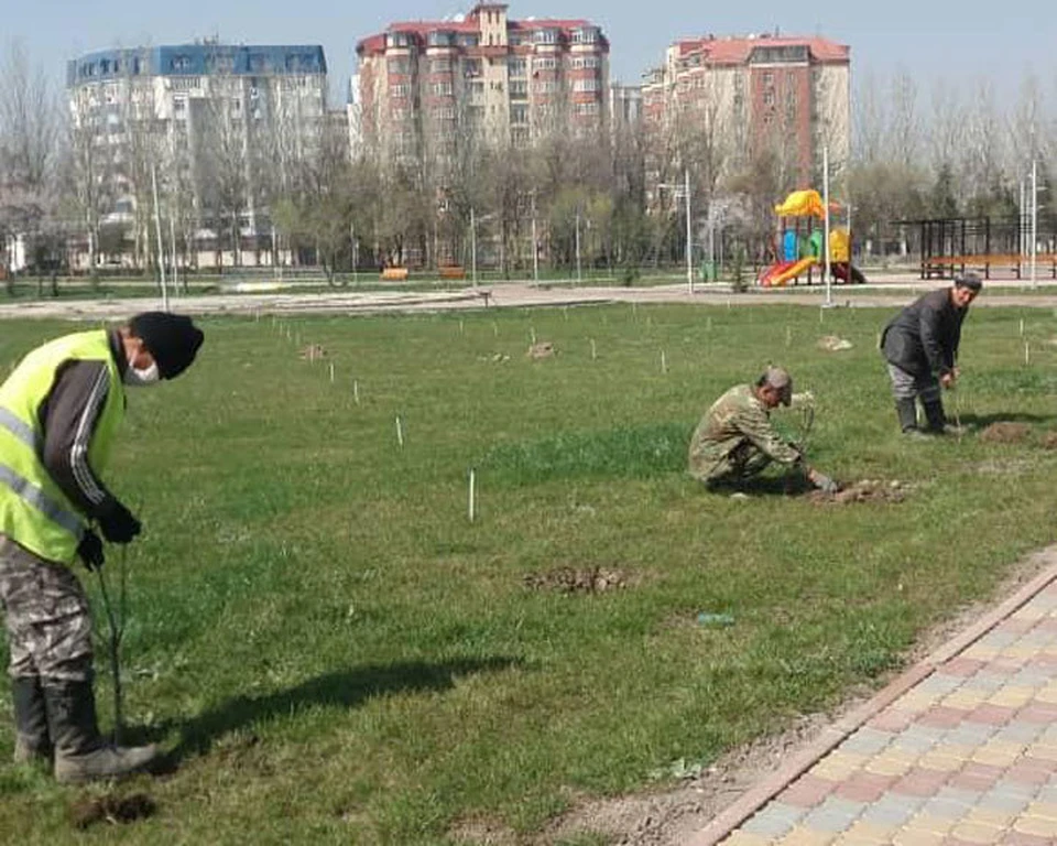 Посадки в Бишкеке продолжаются.