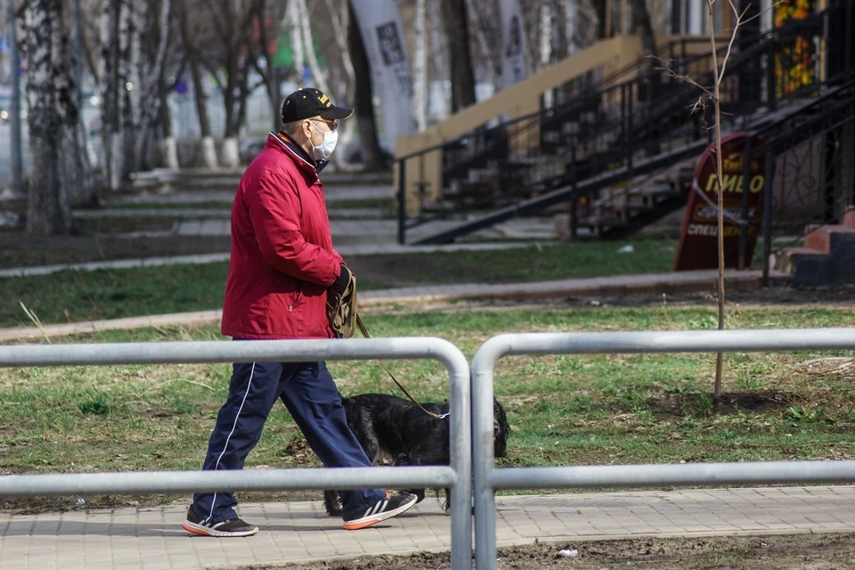 Стало известно, сколько людей в Самаре нарушают режим