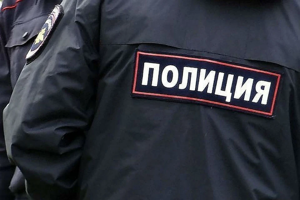 Петарду взорвали в пасти трехмесячного щенка в Забайкалье