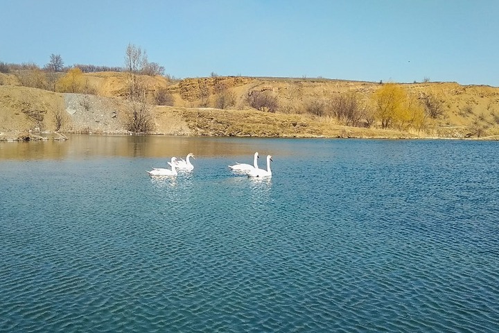 Карта нижней крынки