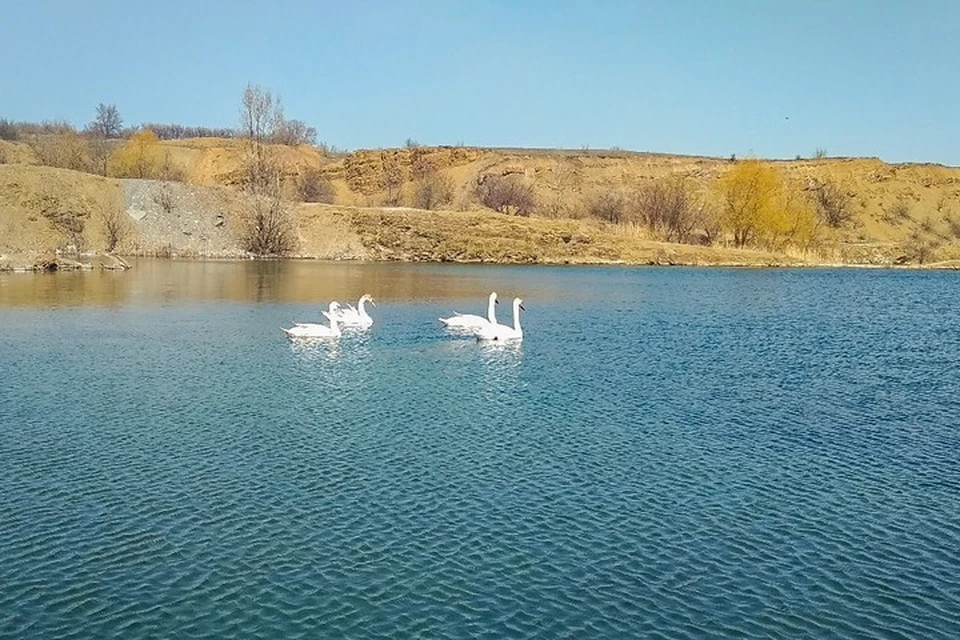 Карта нижней крынки днр