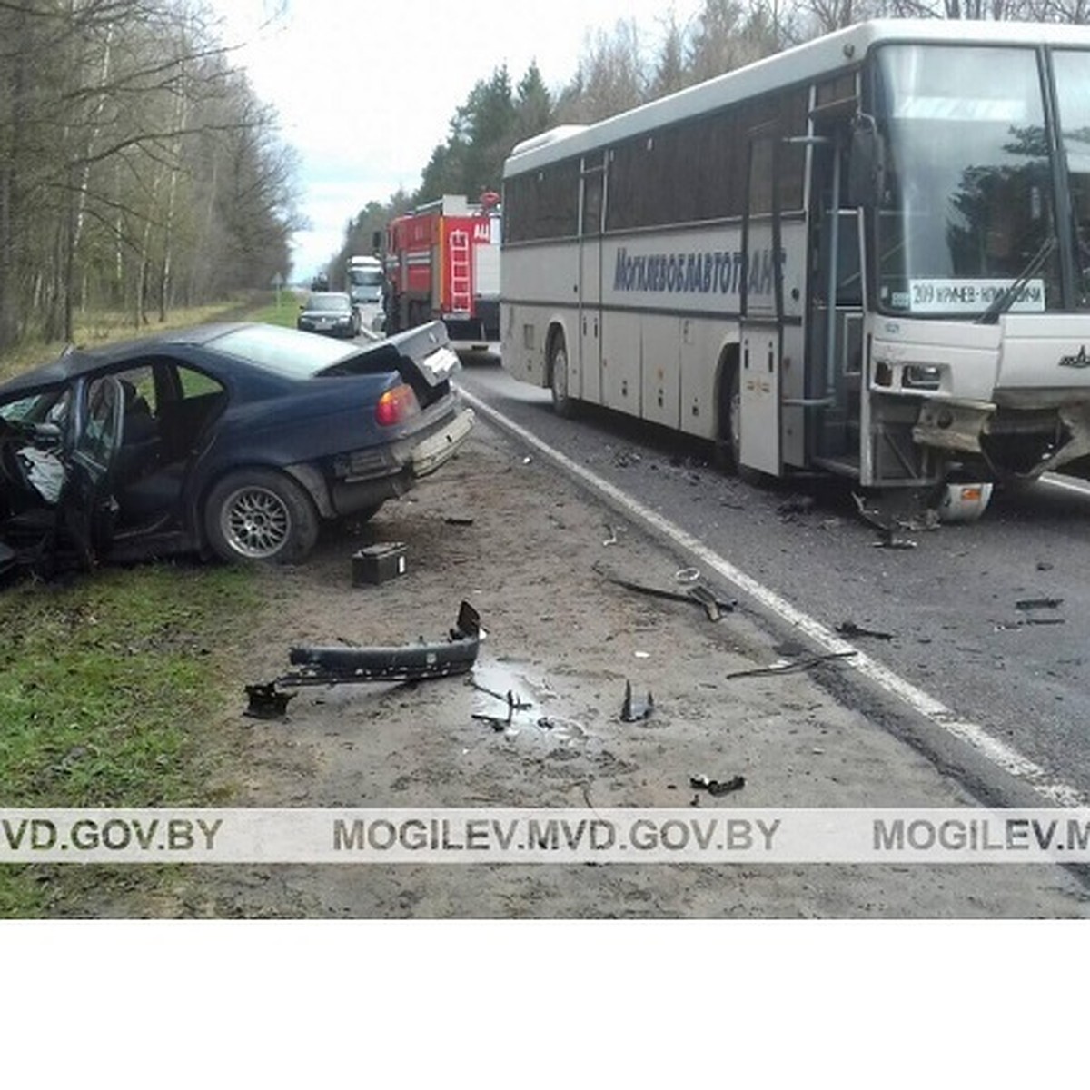 Под Климовичами BMW 525 лоб в лоб въехал в рейсовый автобус - есть  пострадавшие - KP.RU