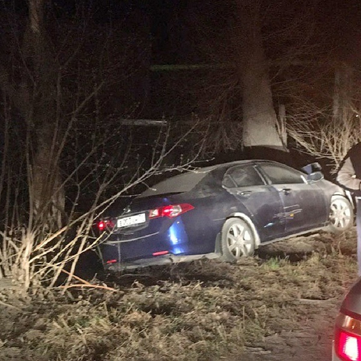 Врезался в дерево»: водитель сбежал с места аварии, оставив следы крови -  KP.RU