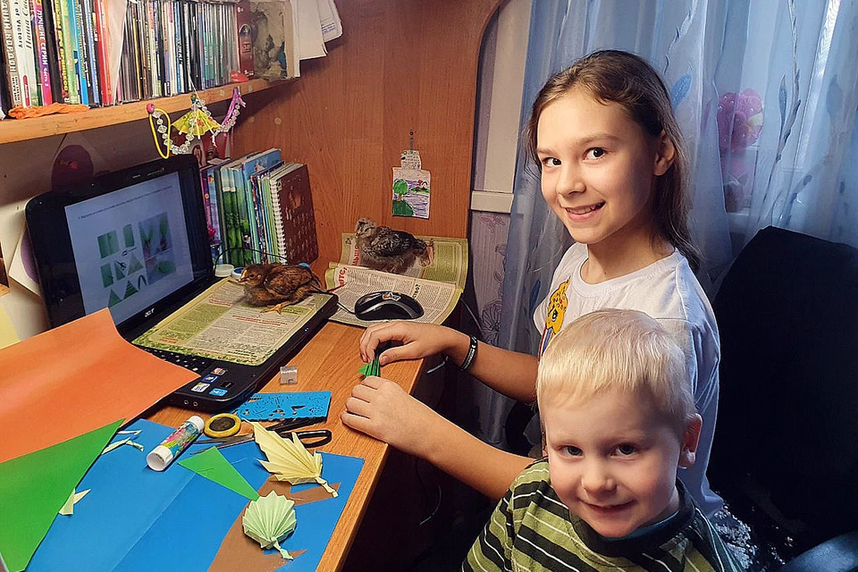 Ученица лицея № 10 Арина «приходит» на уроки вместе с младшим братом и цыплятами Малышом и Пушком. Фото предоставлено управлением образования Красноярска