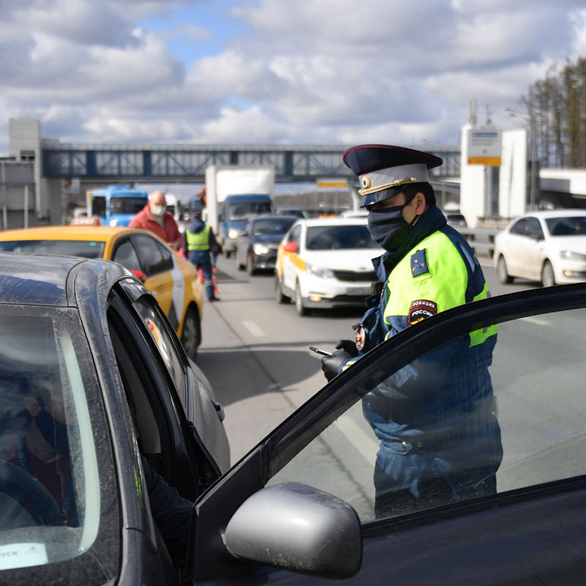 Цифровые пропуска для поездки на дачу в Москве могут оформить пенсионеры -  KP.RU