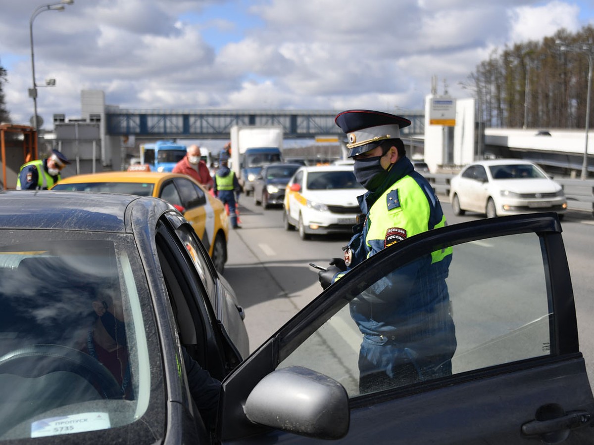 Цифровые пропуска для поездки на дачу в Москве могут оформить пенсионеры -  KP.RU