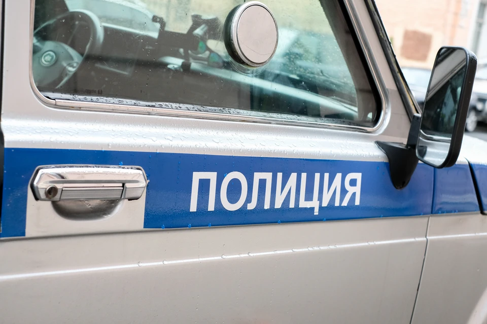 Полиция разыскивает неизвестного, приславшего девятилетней петербурженке фото своего члена