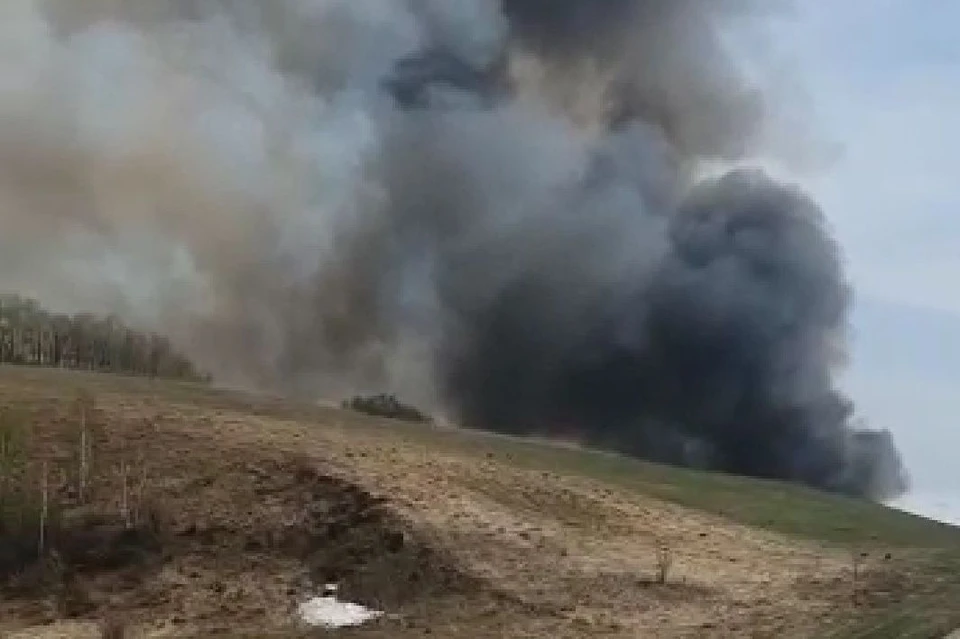 Пожар в Алтайском крае. Скриншот с видео.