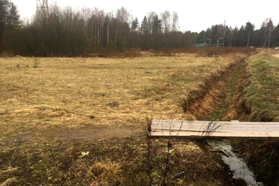 Брать землю под огороды призывают не только сельчан, но и жителей города. Фото: Георгий Четвёркин