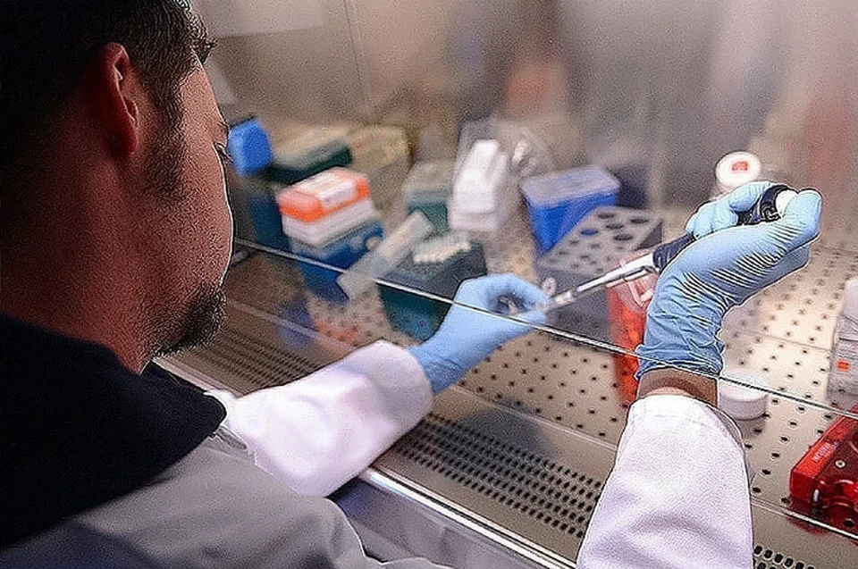Роспотребнадзор: в России проведено уже более 2,8 млн тестов на коронавирус