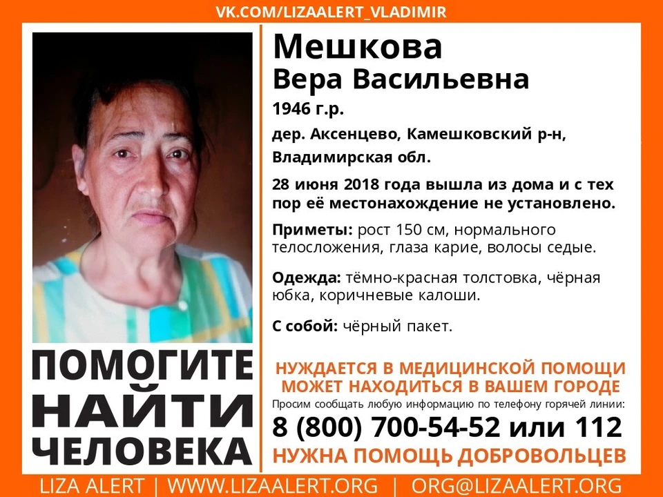 пропавшие люди владимирская область. лиза алерт владимирская. найти человека владимирская область. никитин александр александрович саратов. найти человека владимирская область.