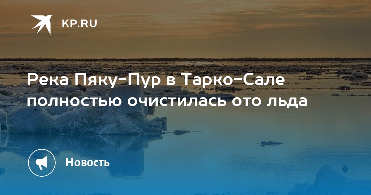 Когда водоемы полностью очистились ото льда 2024. Интересные факты о реке Пяку - Пур. Самбурга река Пур. Село Самбург Ямало Ненецкий. Мостовой переход через реку Пяку-Пур, г. Тарко-Сале.