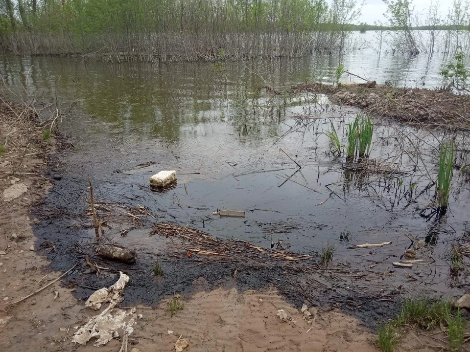 Власти обещали разобраться в ситуации