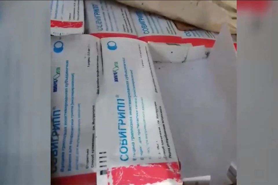 В лесу под Дзержинском обнаружена свалка из ящиков с вакциной от гриппа. ФОТО: принтскрин видео группы "Типичный Нижний Новгород"