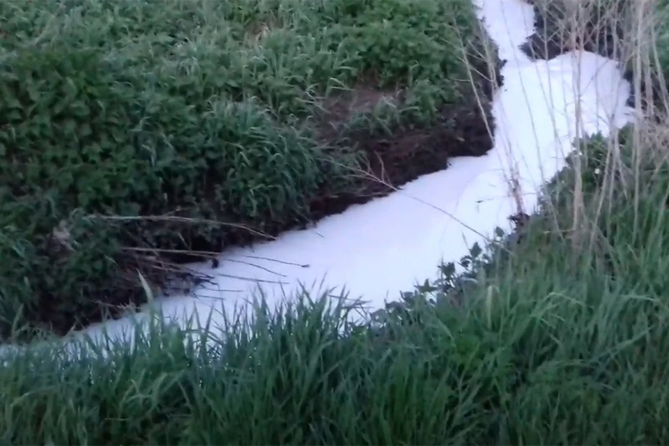 «Молочные реки»: вода в реке Рахма под Нижним Новгородом снова побелела. ФОТО: принтскрин видео YouTube