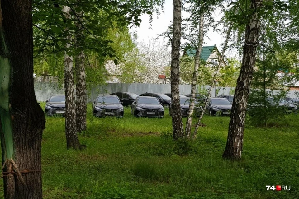 Машины припаркованы в лесу, на охраняемой территории. Фото: 74.ru