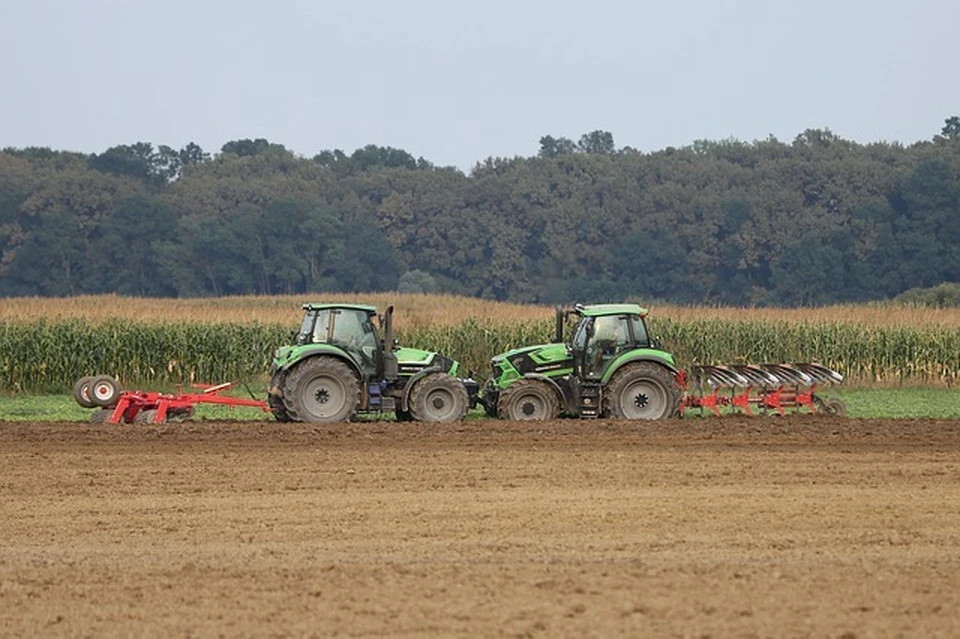 Смоленские сельхозтоваропроизводители стали брать больше кредитов. Фото: pixabay.com.