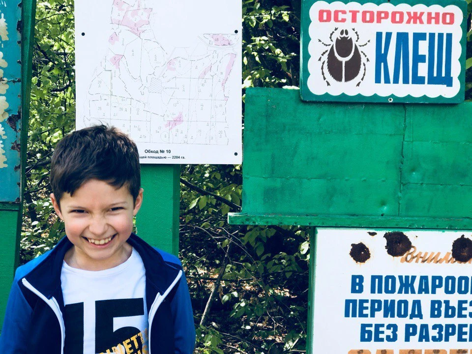 В лесах Крыма и Севастополя предупреждают - клещи готовы к встрече гостей.