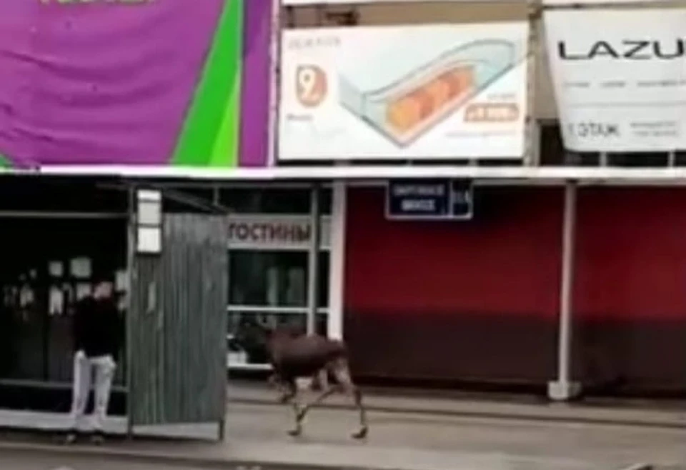 Фото Онлайн Вологда