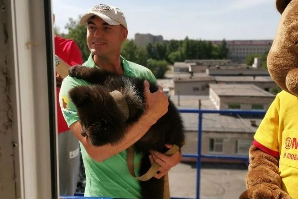 Барнаульский зоопарк порадовал пациентов ковидного госпиталя.