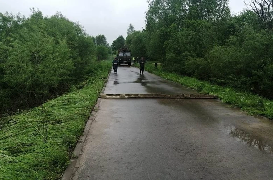 Фото: Материалы пресс-служб