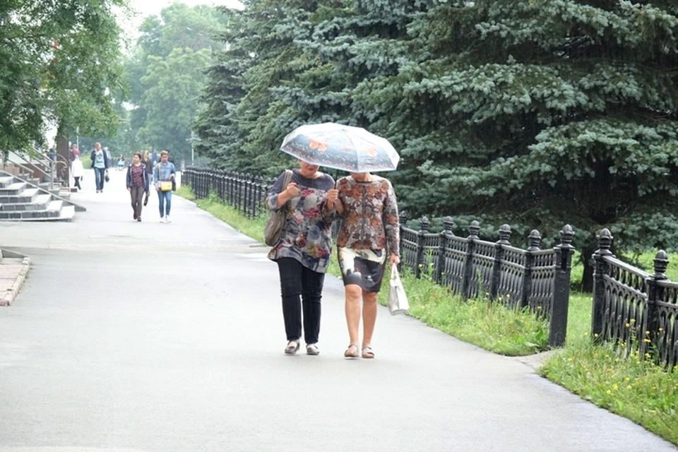 Дожди и ветер северный придут на выходных в Кузбасс