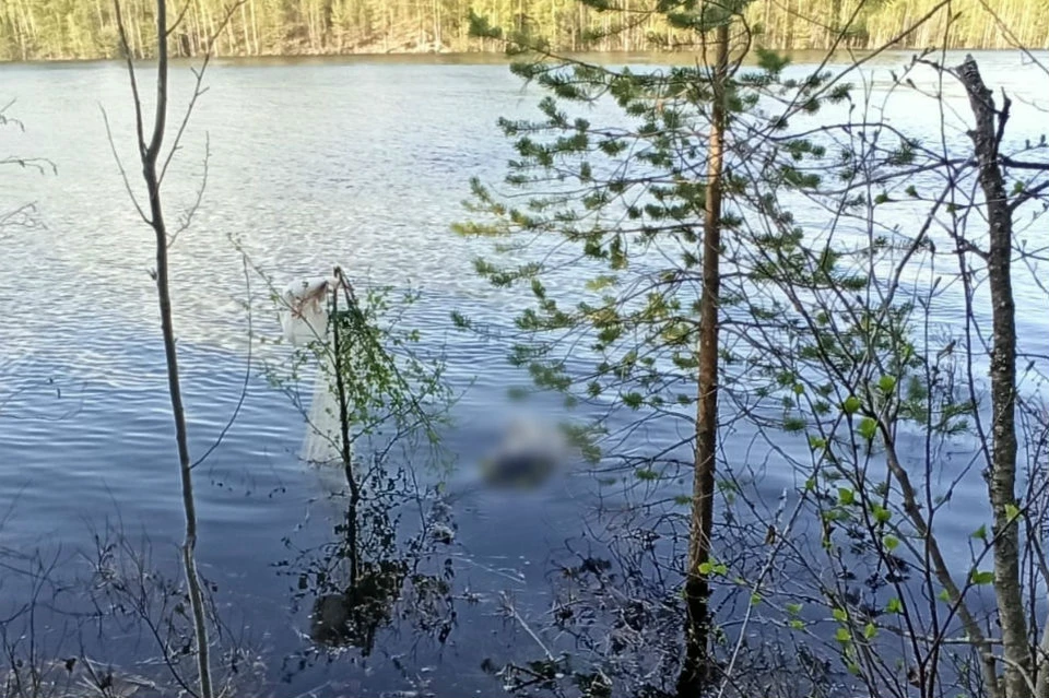 Тело нашли в озере Ориярви. Фото: СКР по Мурманской области