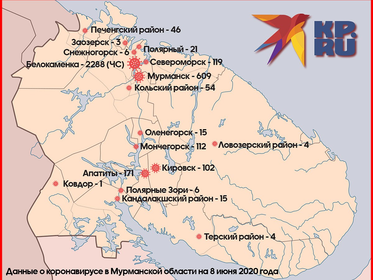 Карта распространения коронавируса в Мурманской области на 8 июня 2020  года: в каких районах больше всего заболевших - KP.RU