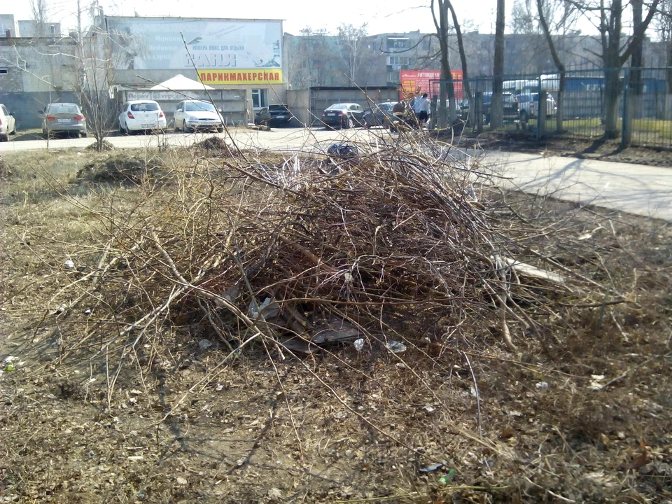 Курян просят не разводить костры