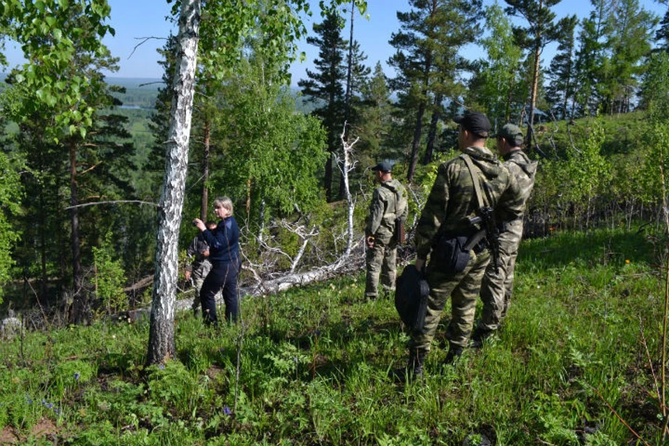 370 гектаров тайги сгорело в Иркутской области из-за искры от мотоцикла.