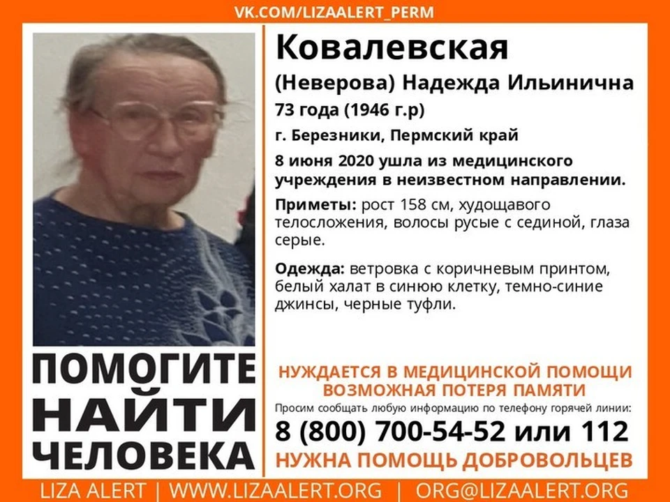 Фото: поисковый отряд «Лиза Алерт».