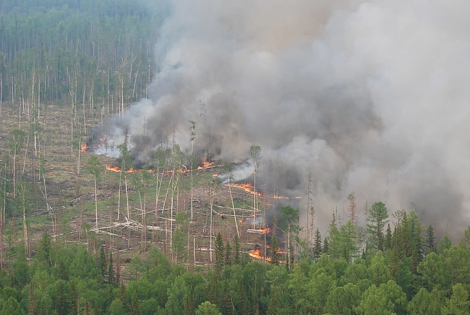 В Красноярском крае лесной пожар вплотную подступает к таежной деревне. Фото: Виктор Чавайн